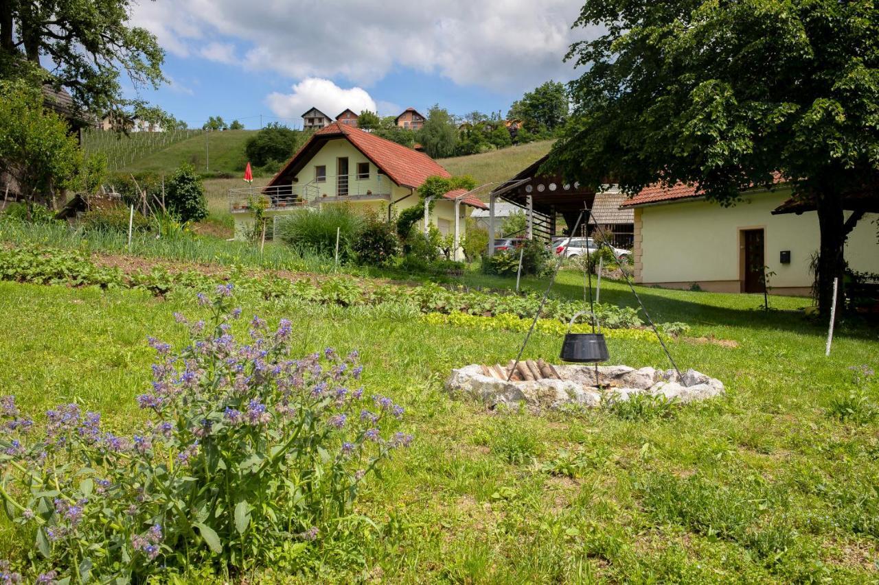 Domacija Vesel Villa Trebnje Eksteriør billede